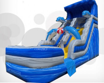 Dolphin Water Slide28